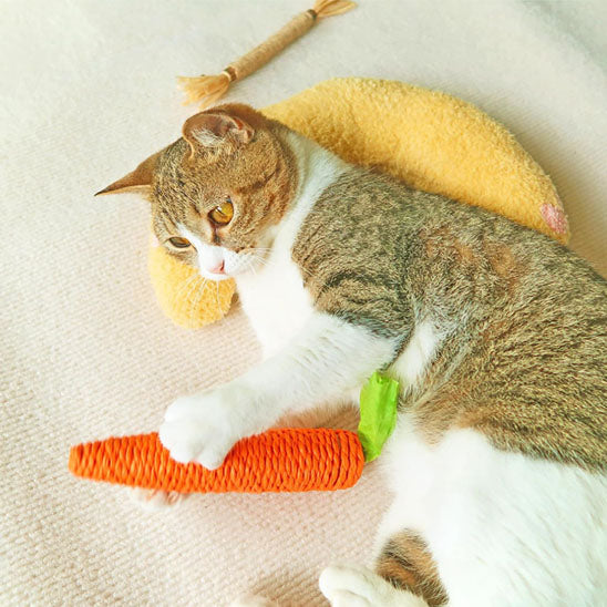 coussin pour chat banane