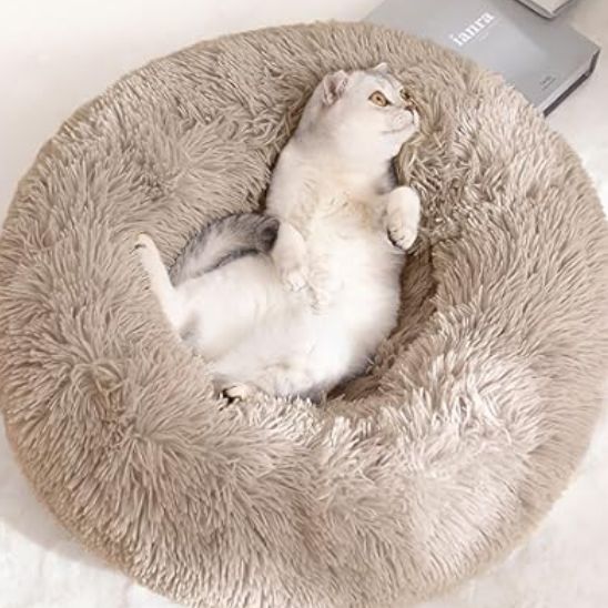 coussin pour chat auto-chauffantâą