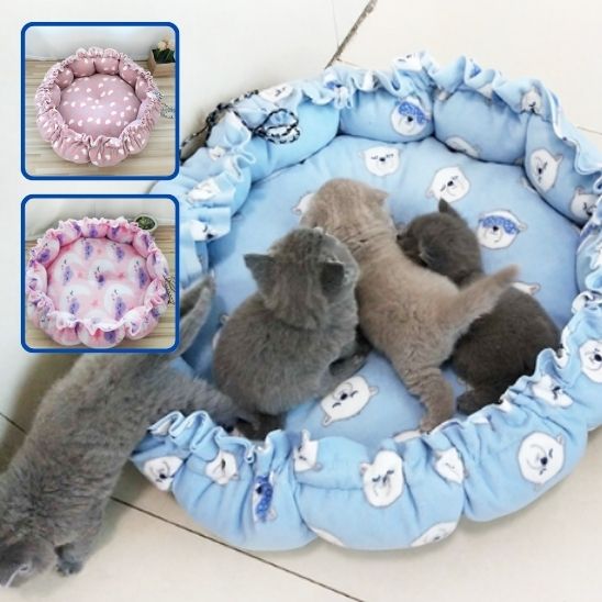 coussin chat nid confort