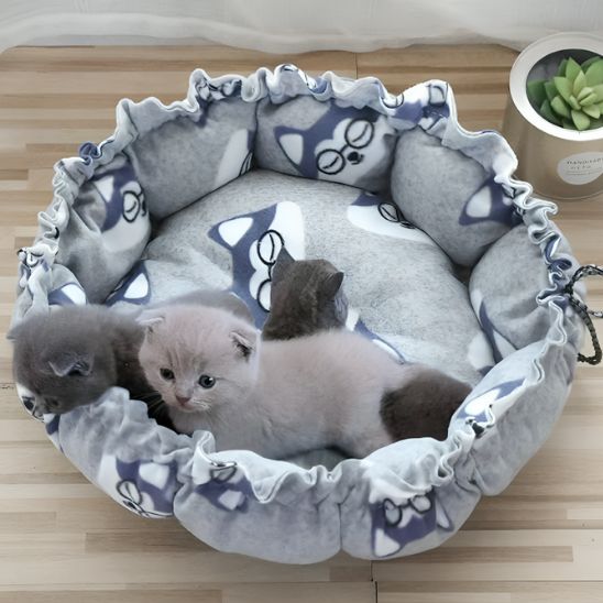 coussin chat nid gris chien