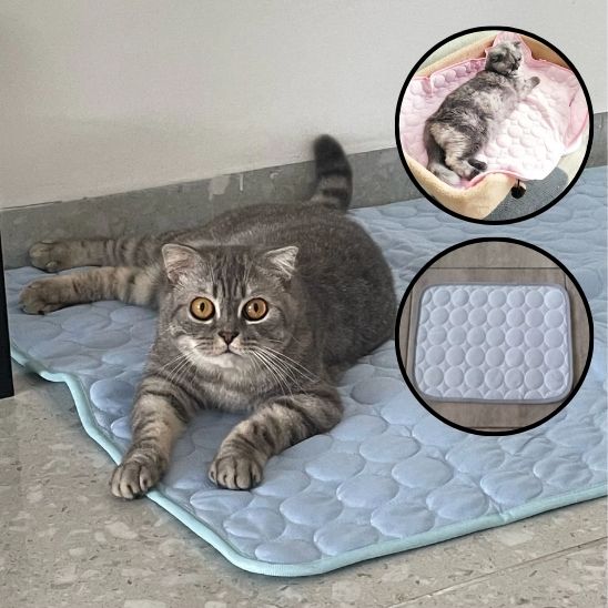 coussin chat-rafraîchissant™