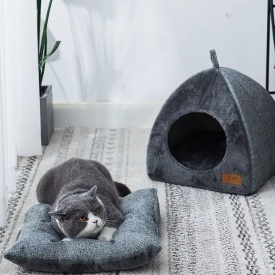 niche chat caverne