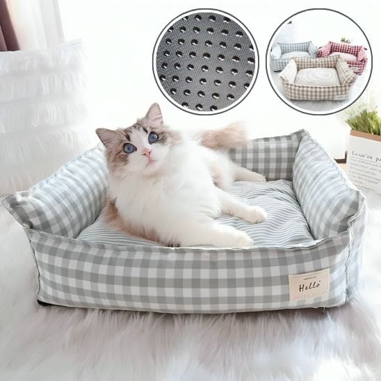 panier pour chat-carroté