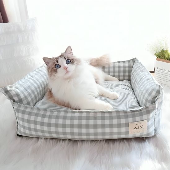 panier pour chat-carroté