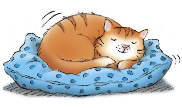 DODO MINOU
