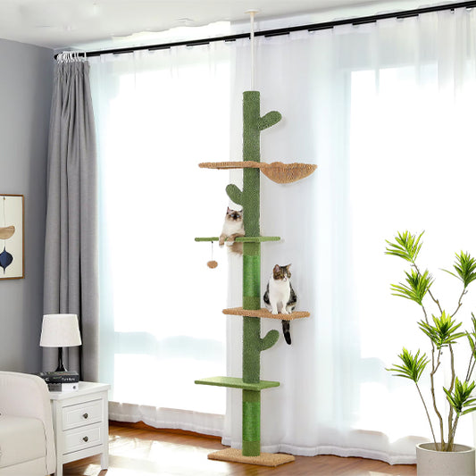 arbre chat étage