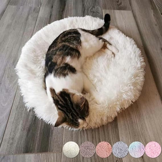 coussin chat rond couleurs