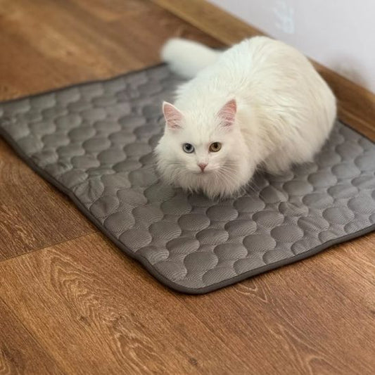 coussin chat-rafraîchissant™