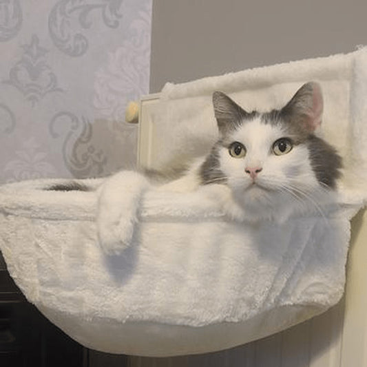 hamac pour chat pour le radiateur