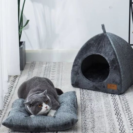 niche  chat caverne