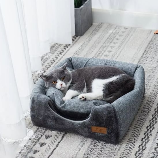 niche  chat caverne