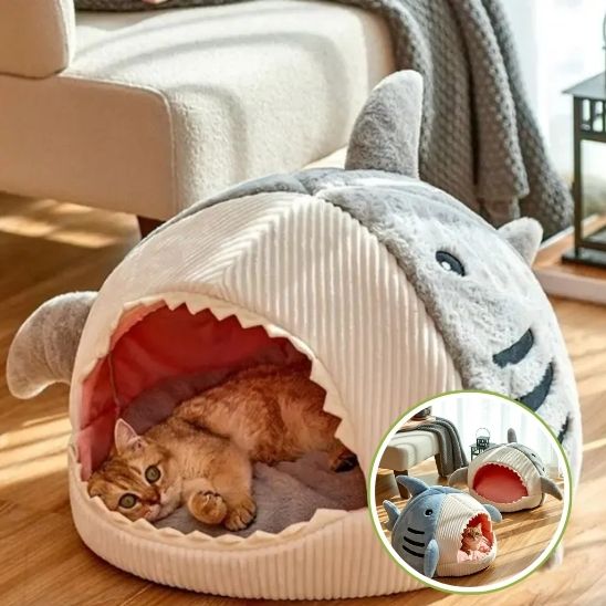 niche chat requin bien-être 