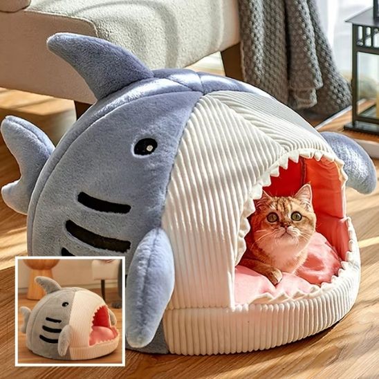 niche chat requin cachette 