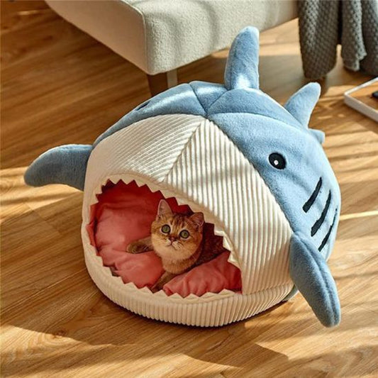 niche chat requin refuge