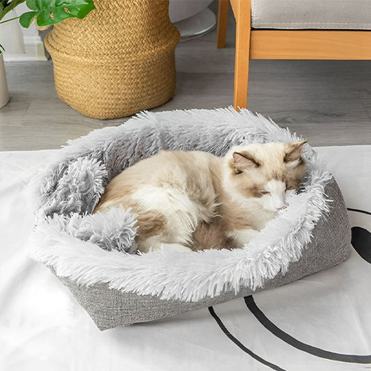 panier pour chat 2 en 1